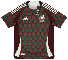 Mexico Copa America 2024 Home