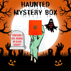 Haunted Mystery Box